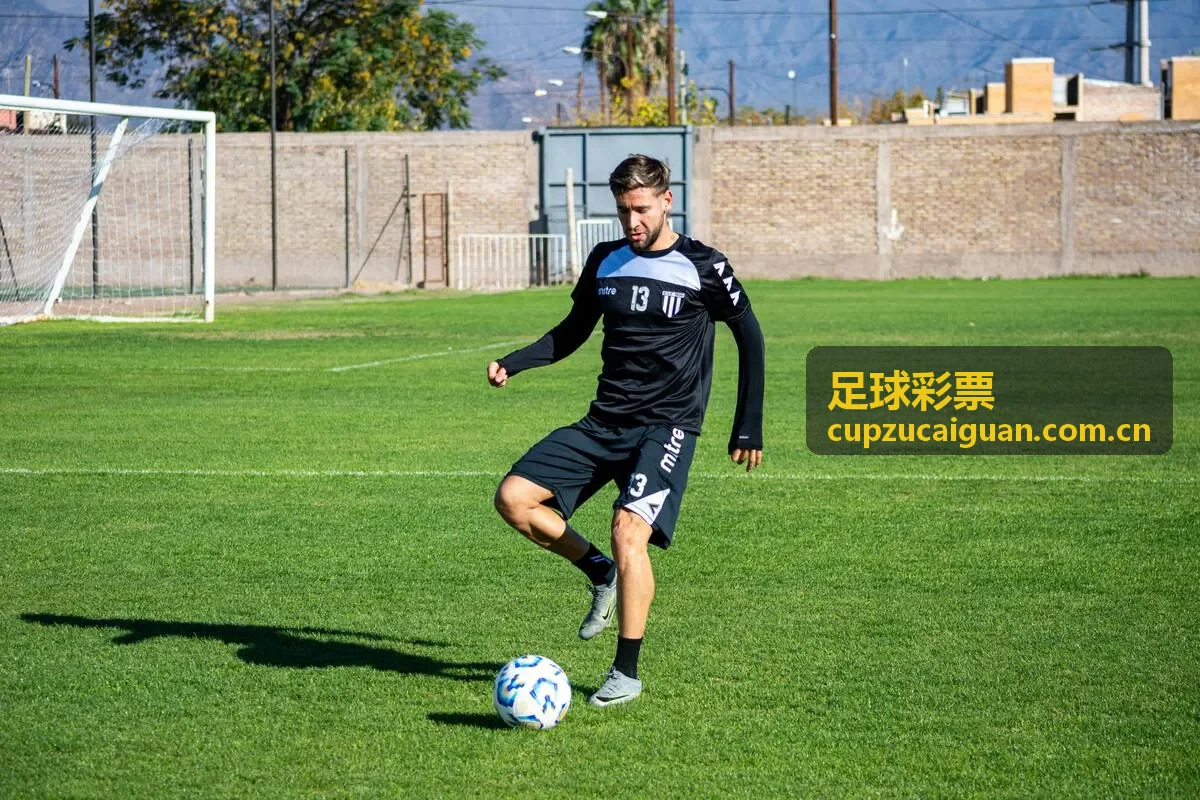 组合投注策略